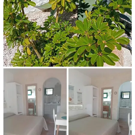 Il Corallo Rosso Aparthotel *